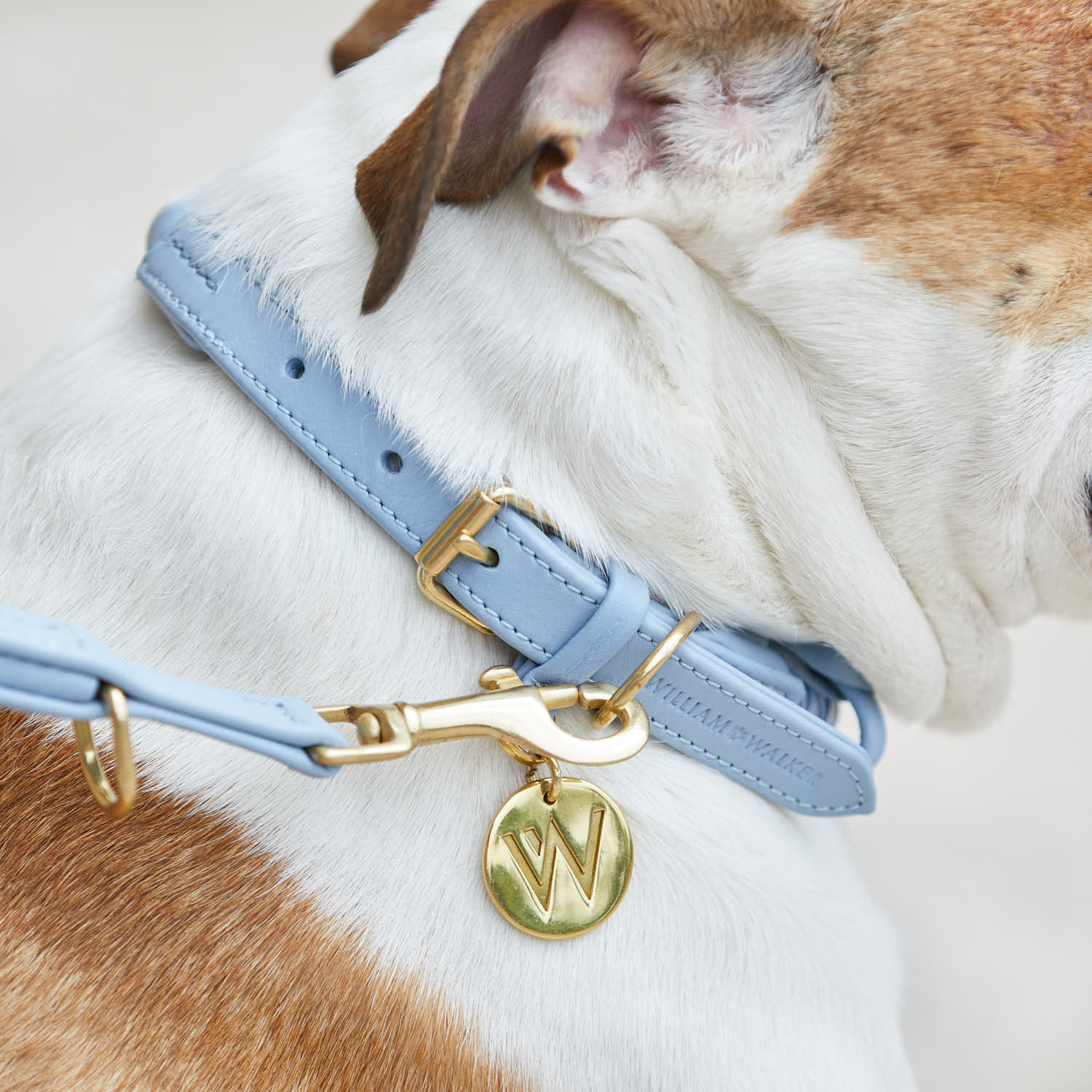 William Walker Hundehalsband Twisted Sky