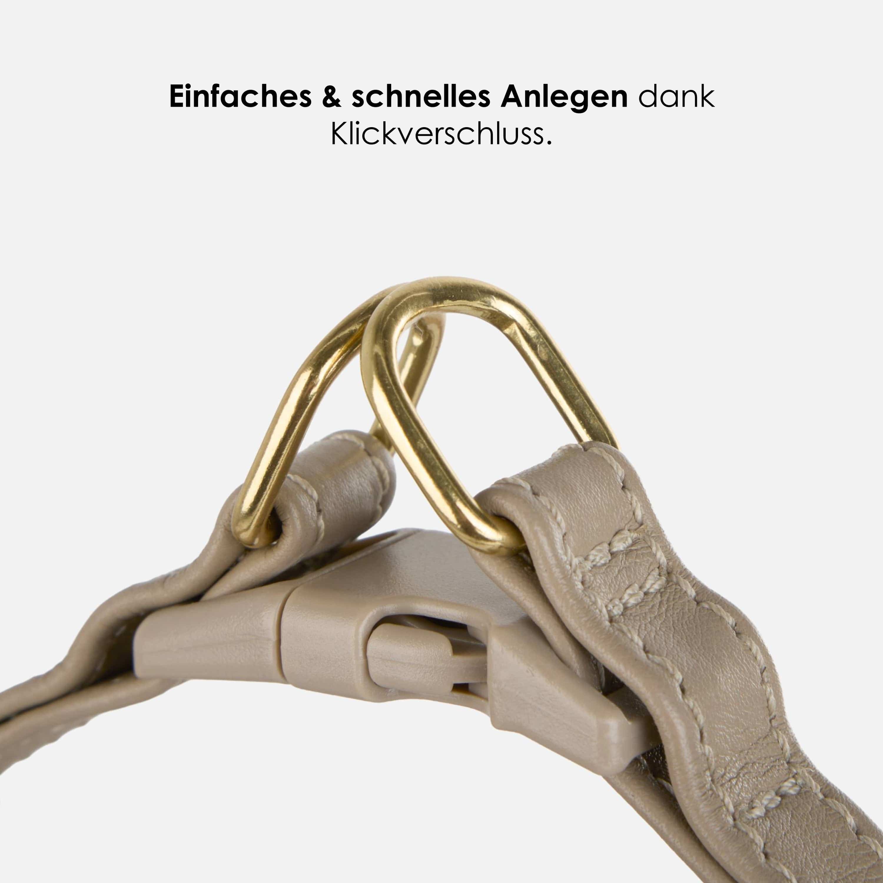 William Walker Step-In Leder Geschirr Pico für kleine Hunde