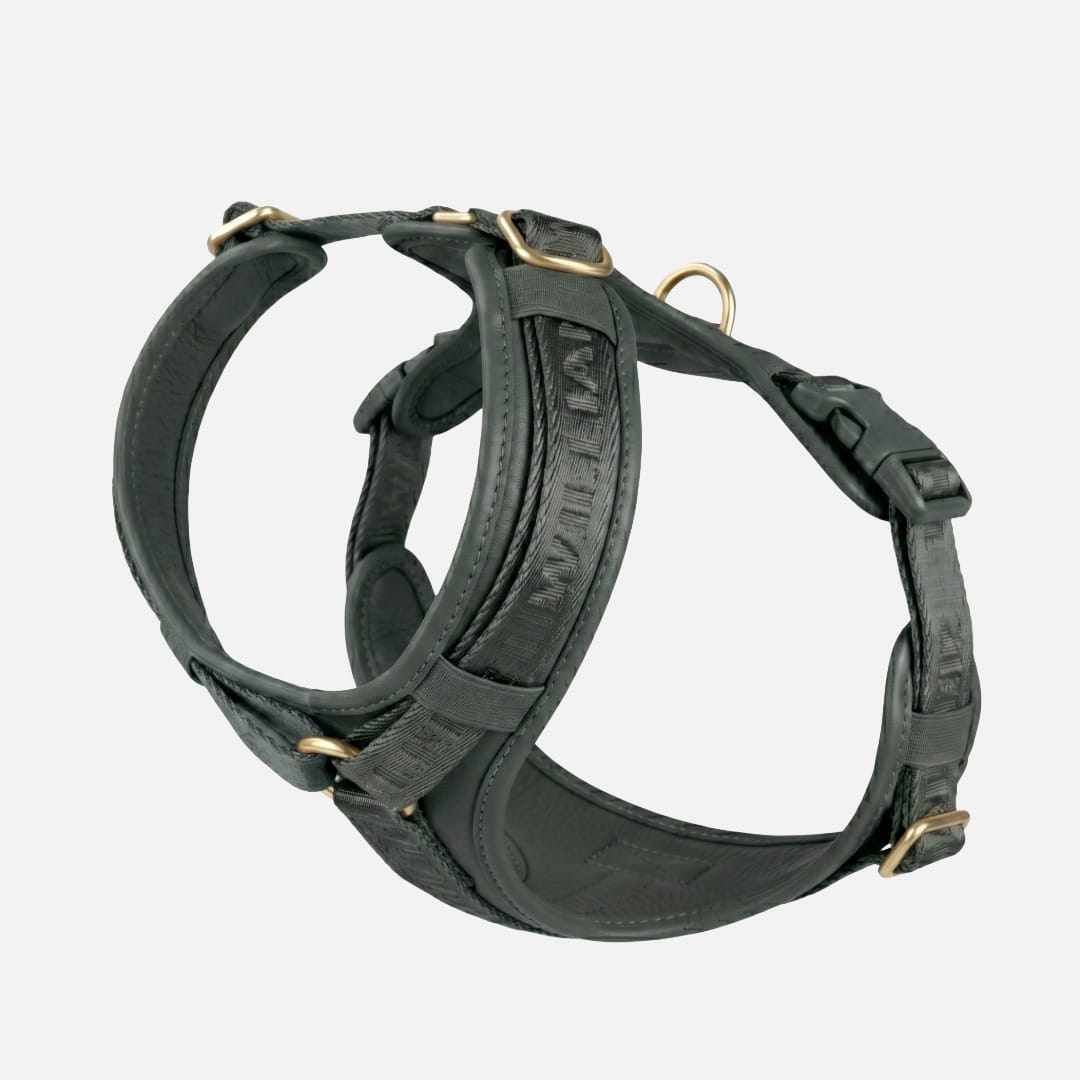 William Walker Leder Hundegeschirr Plain