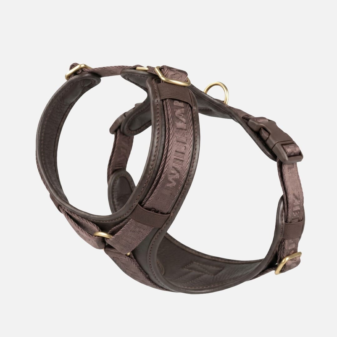 William Walker Leder Hundegeschirr Plain