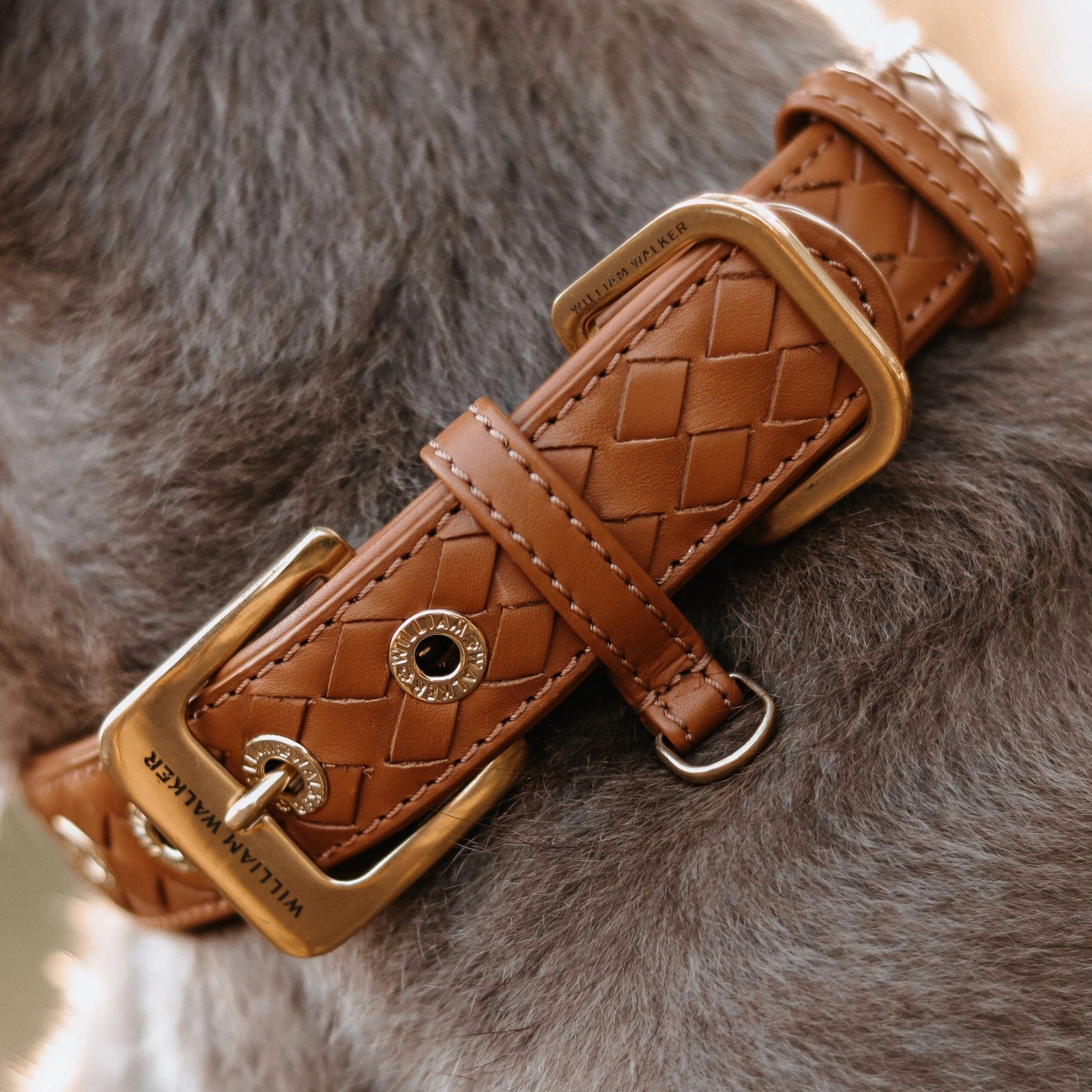 William Walker Leder Hundehalsband Prestige Caramel (Braun)