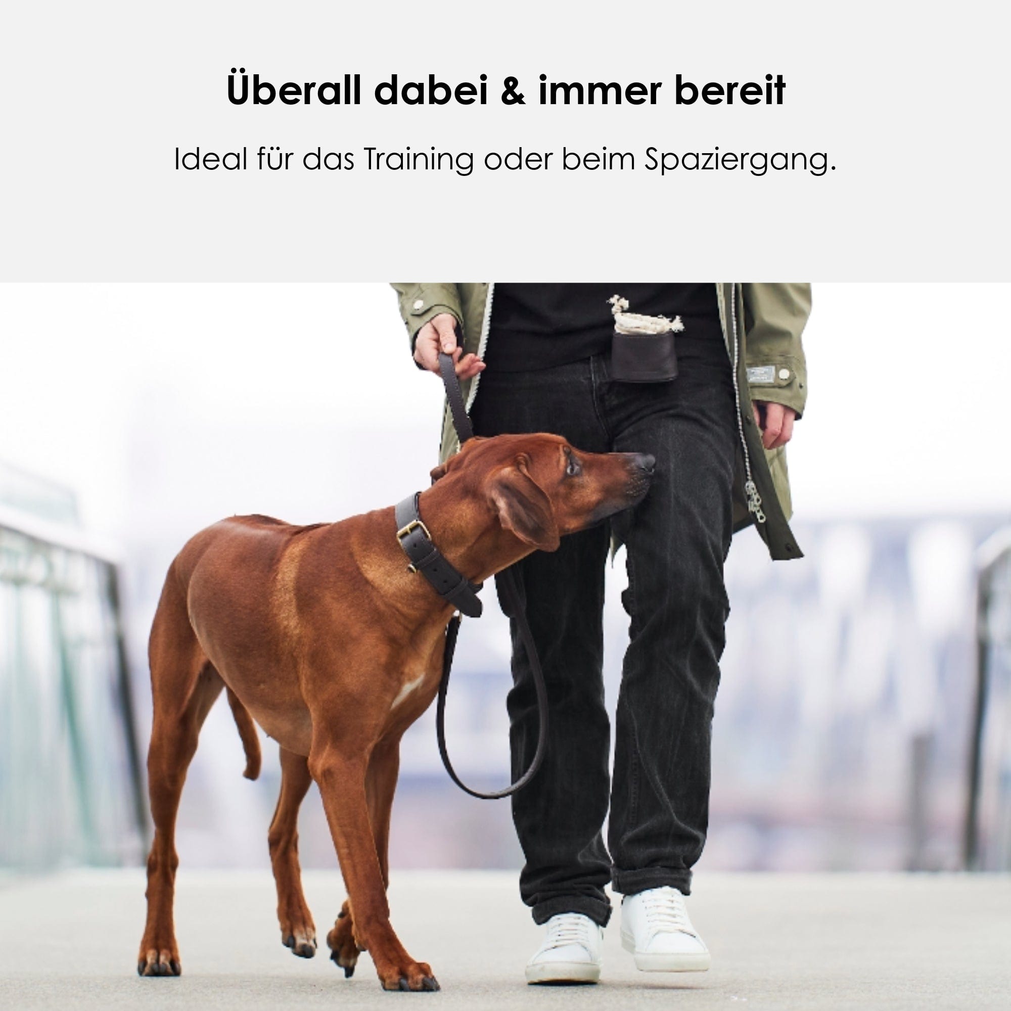 William Walker Leckerlibeutel Earth (Braun)