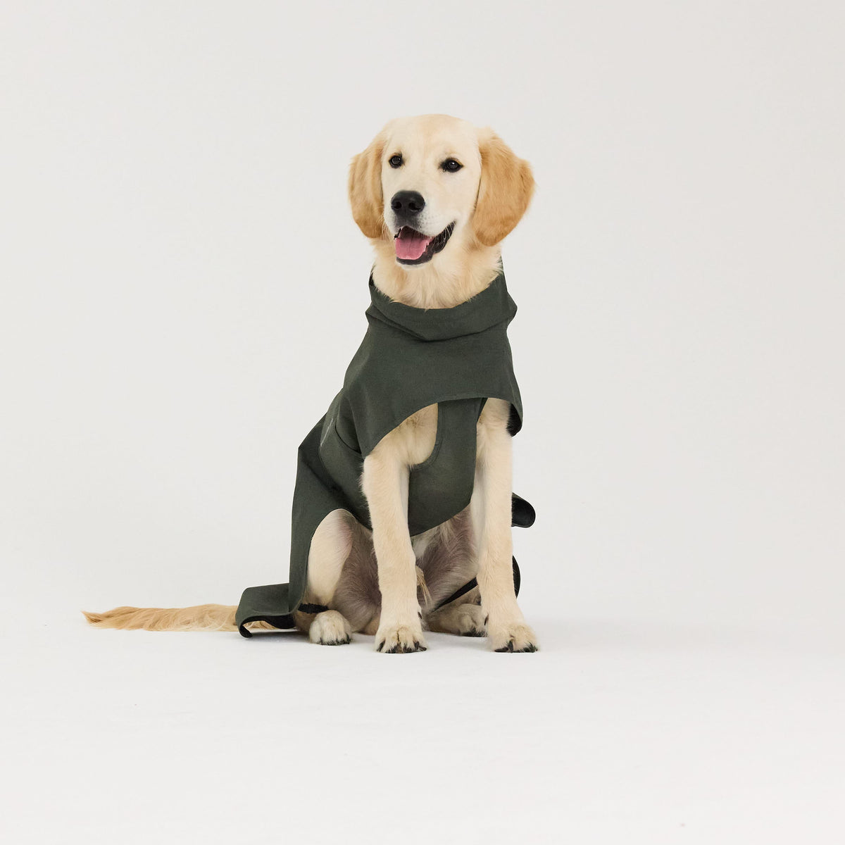 William Walker Impermeable para perro Harbour