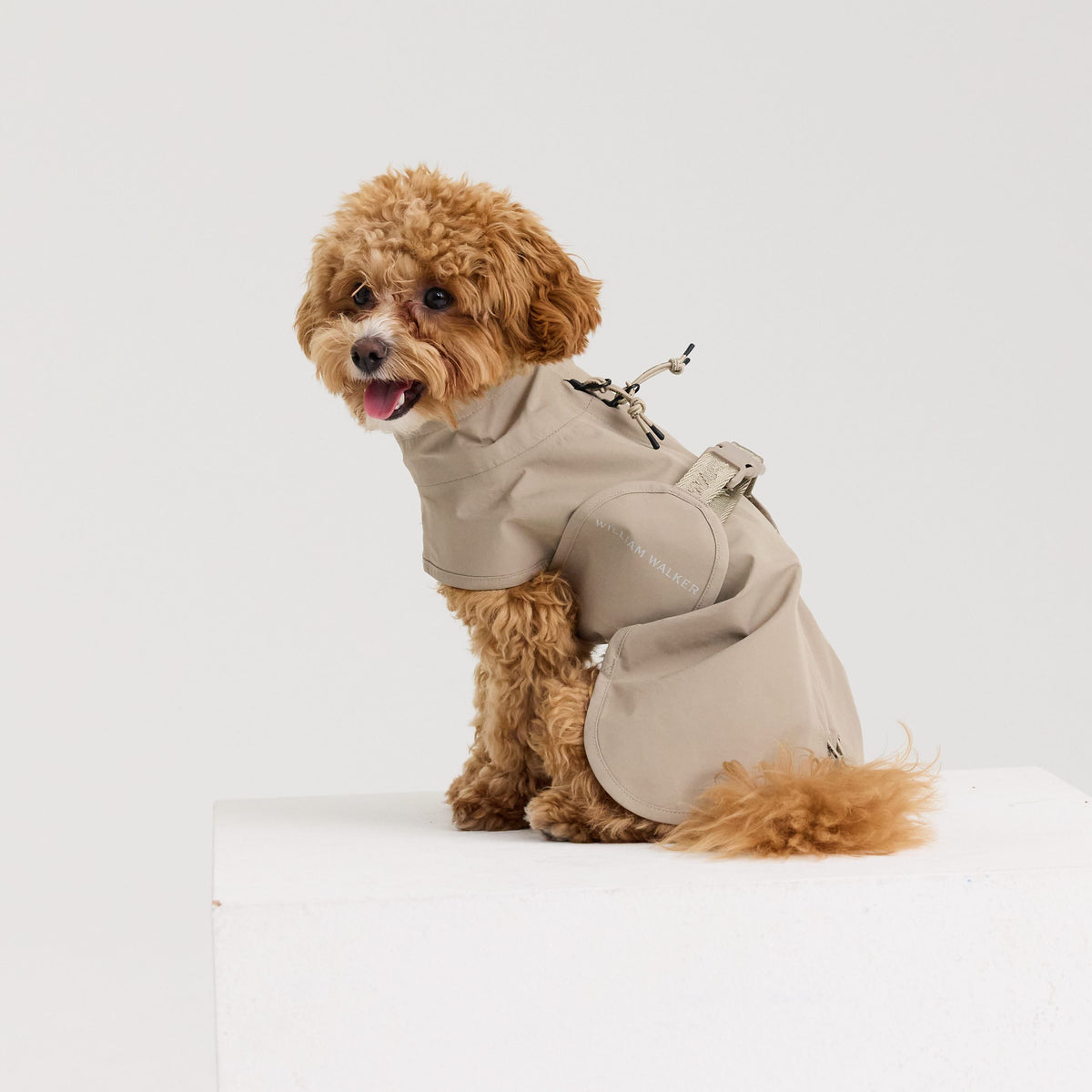 William Walker Impermeable para perro Harbour