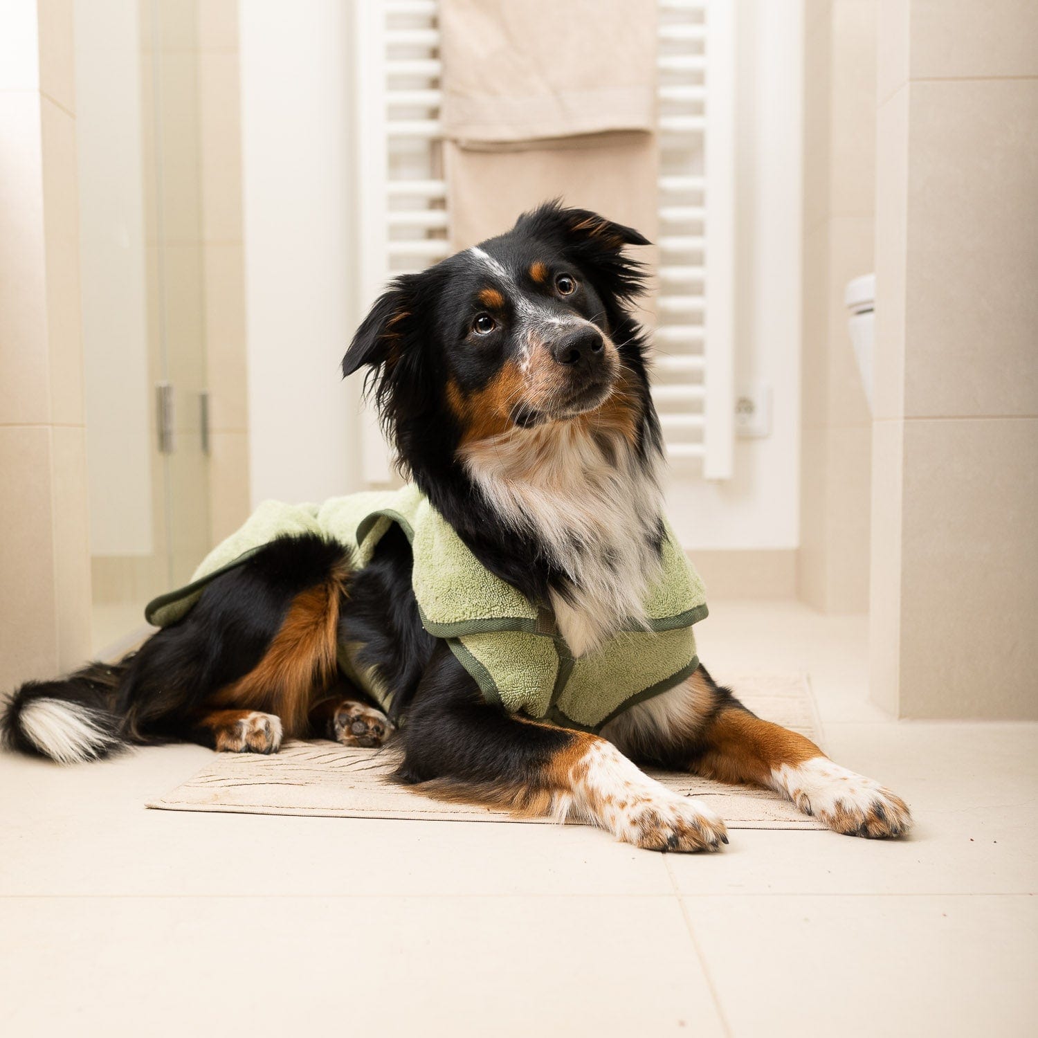 William Walker Dog Bathrobe SPA Moss