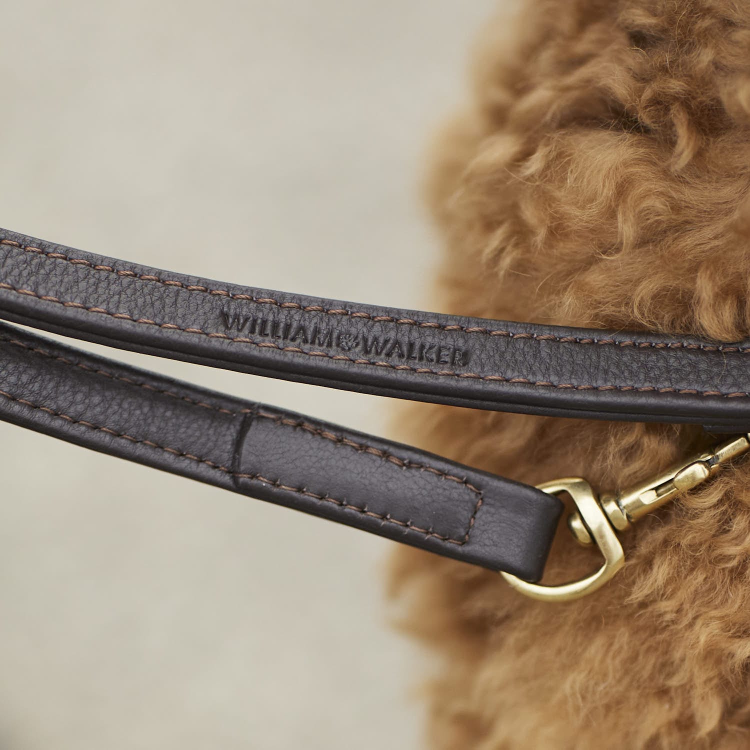 William Walker Hundeleine Earth