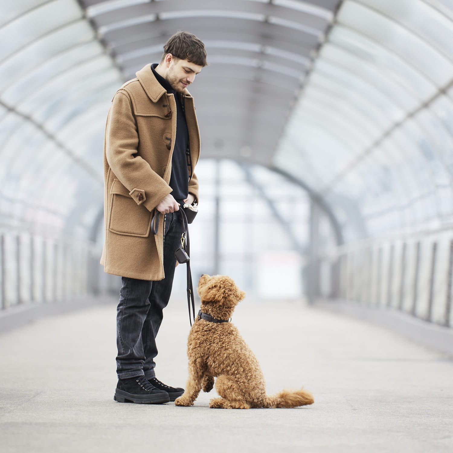 William Walker Hundeleine Earth