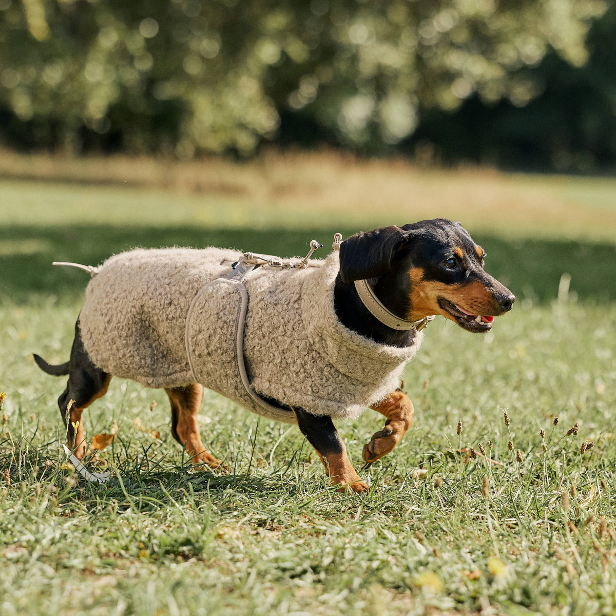 William Walker Gemütlicher Fleece Hundemantel Cozy für Dackel