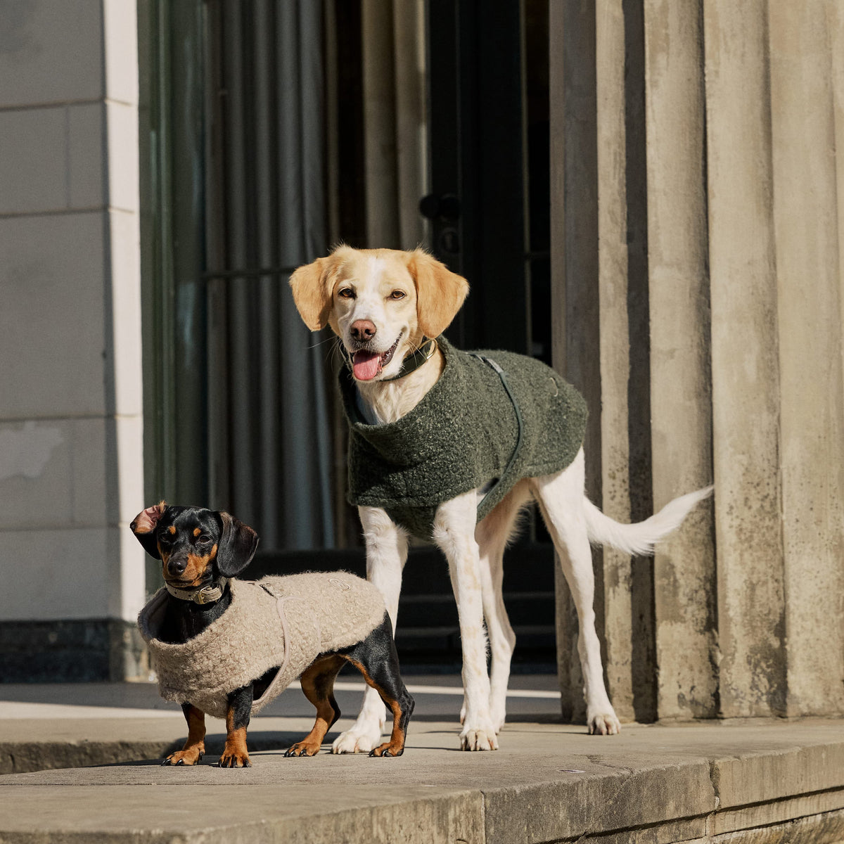 William Walker Cosy fleece dog coat Cozy for dachshunds Dark Moss / 2