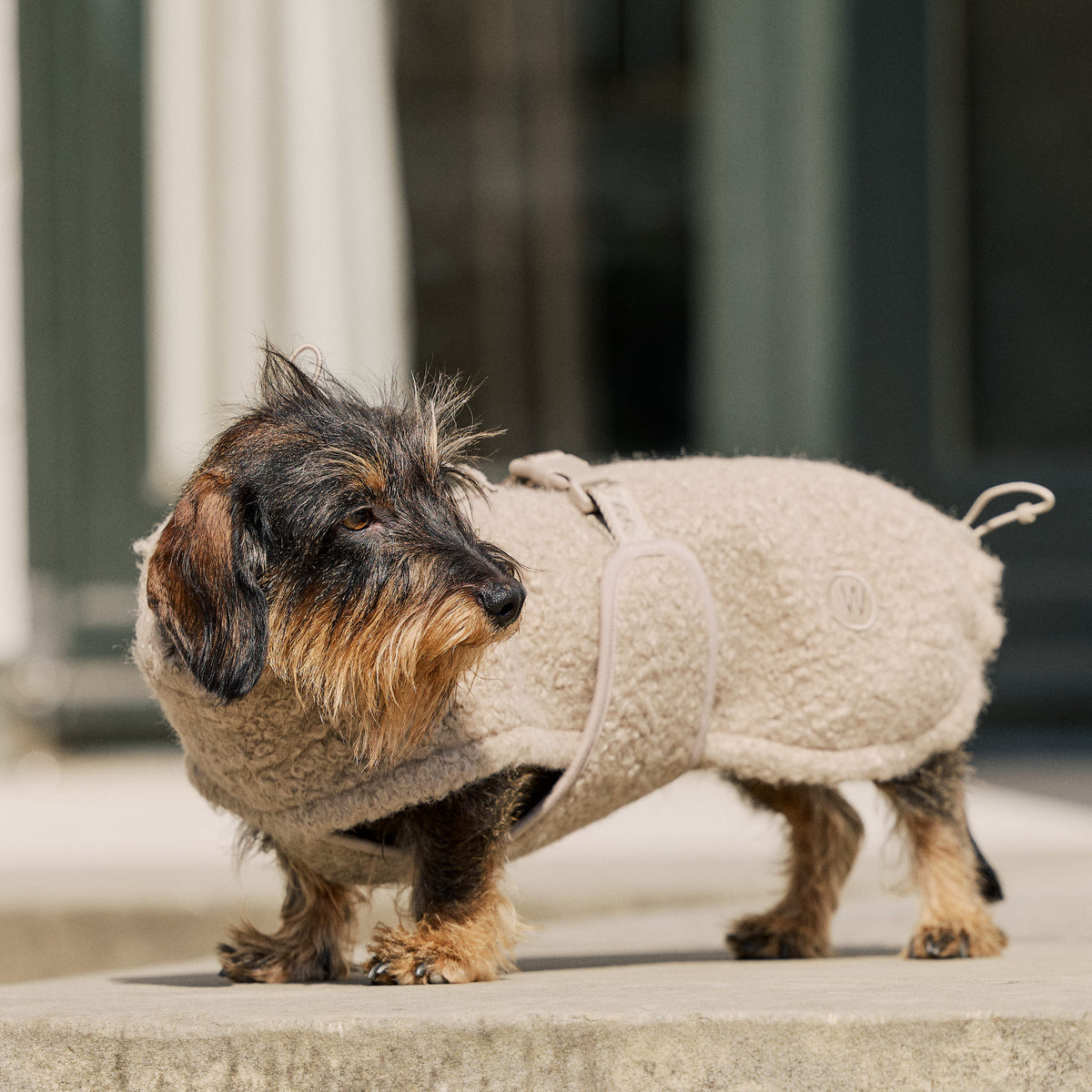 William Walker Gemütlicher Fleece Hundemantel Cozy für Dackel