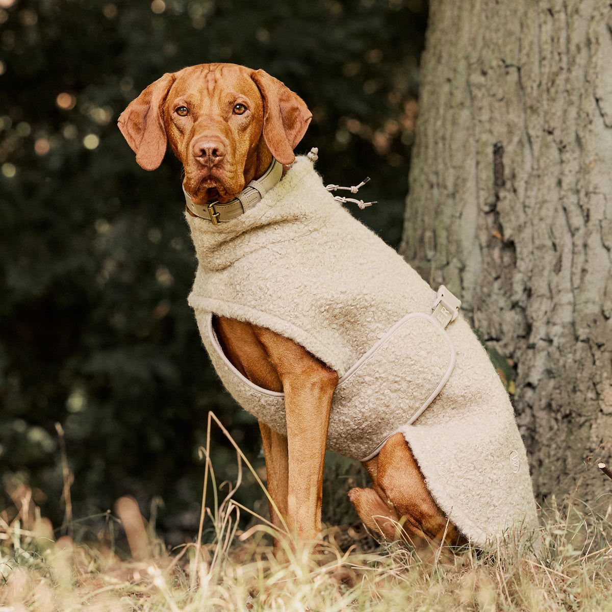 William Walker Cappottino in pile per cani Cozy