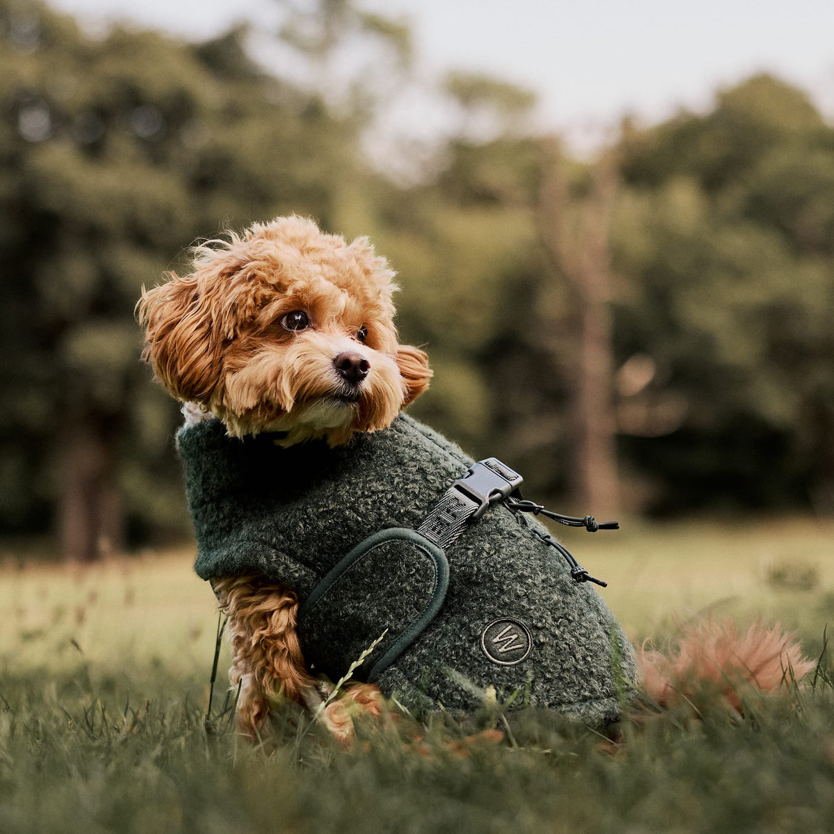 William Walker Cappottino in pile per cani Cozy