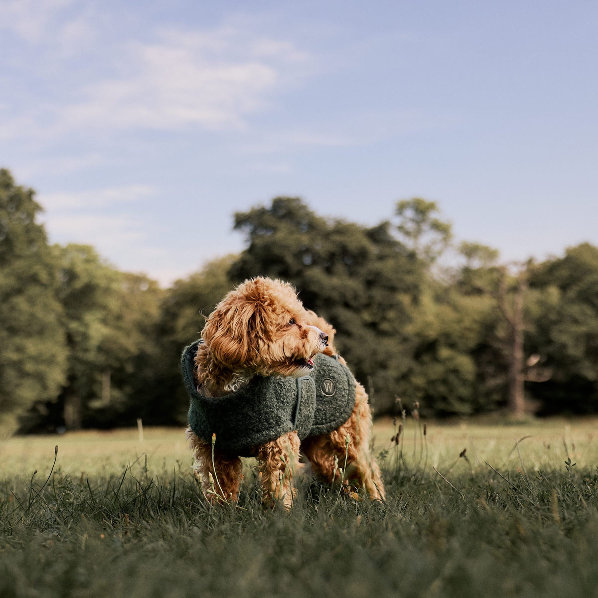 William Walker Cappottino in pile per cani Cozy