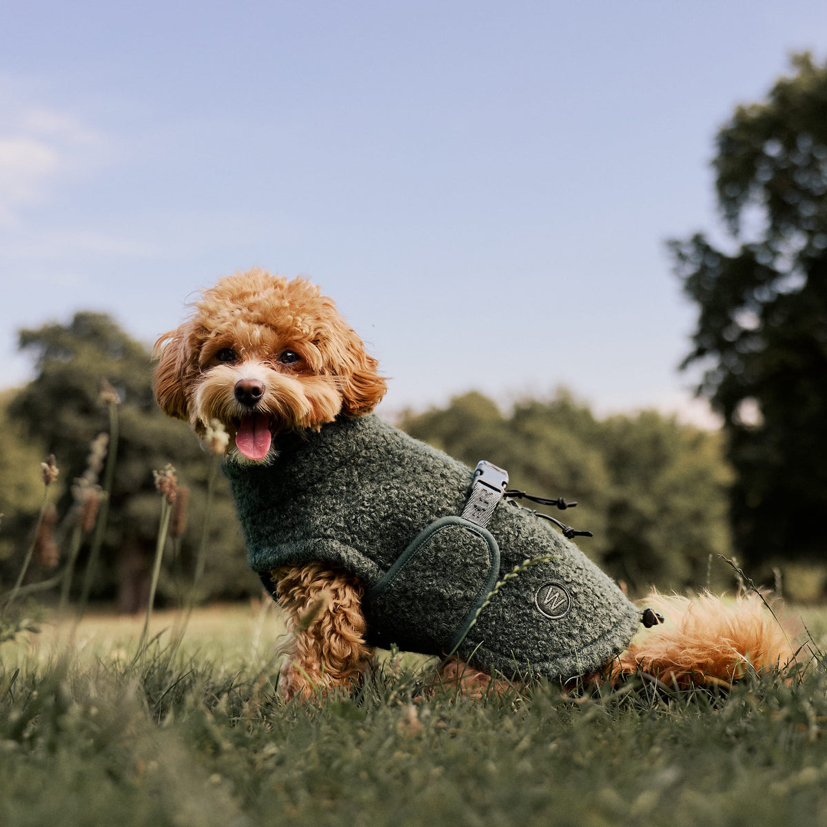 William Walker Cappottino in pile per cani Cozy