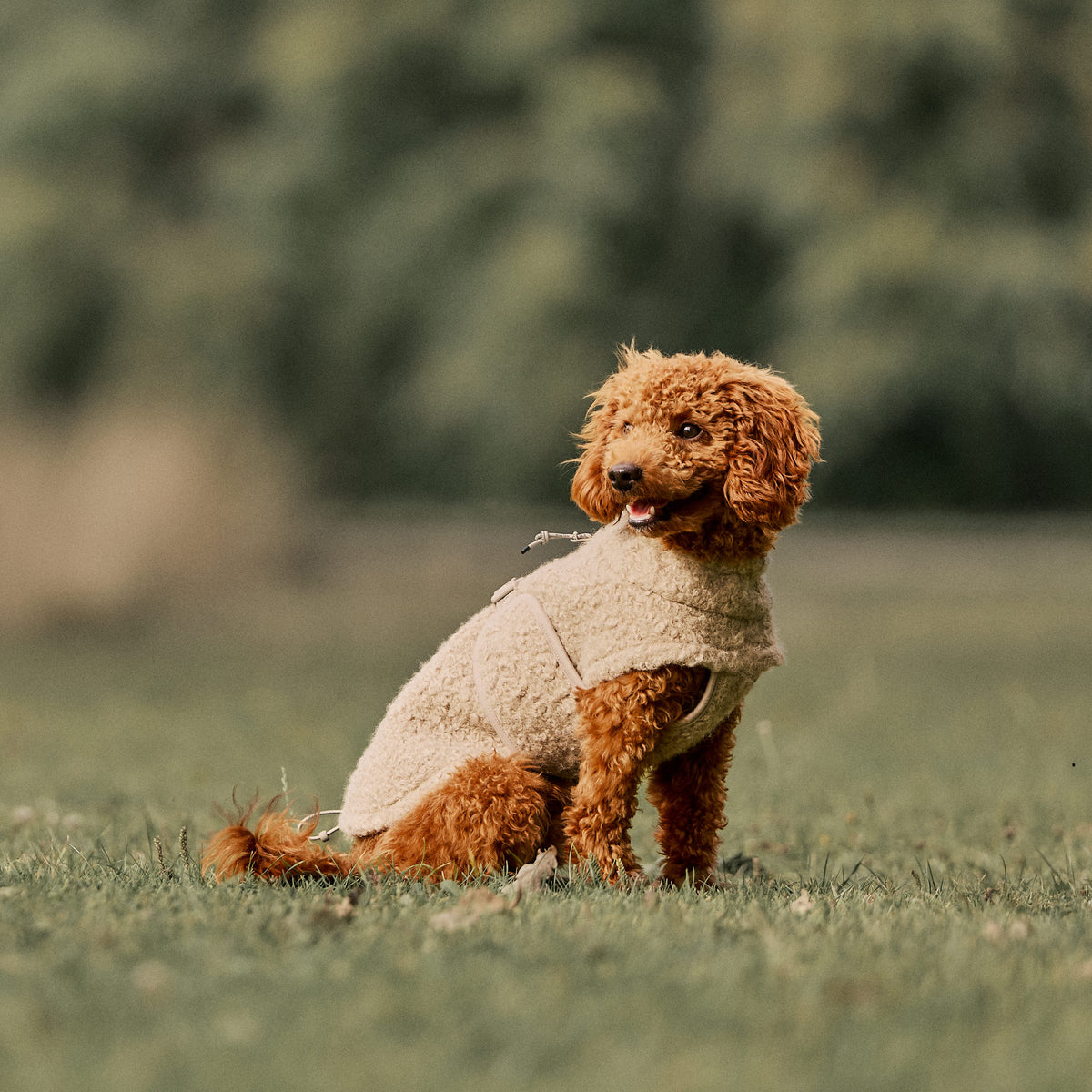 William Walker Cappottino in pile per cani Cozy