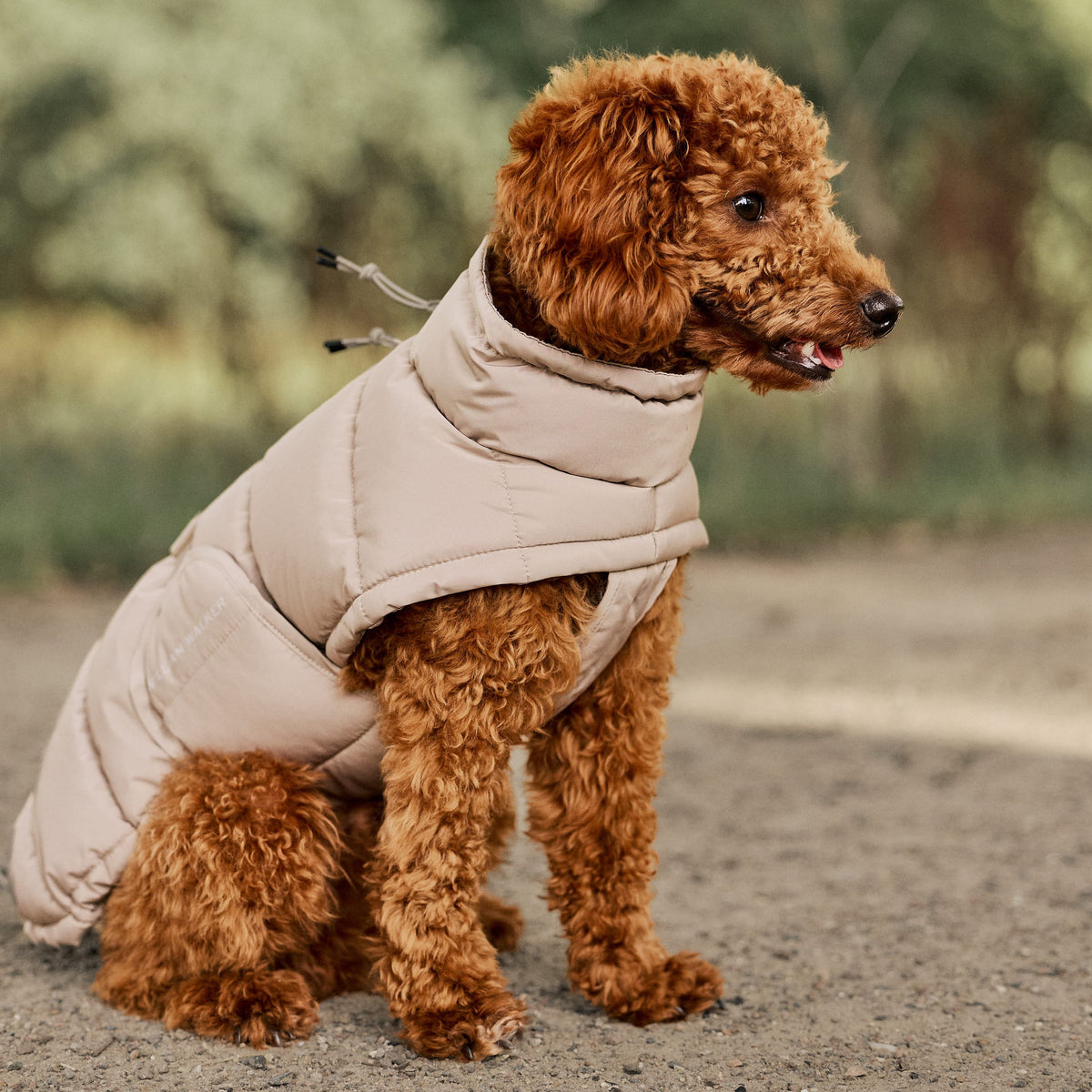 William Walker Warmer Winter Hundemantel Alpine