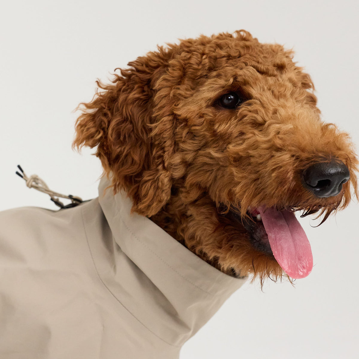William Walker Impermeabile per cani Harbour