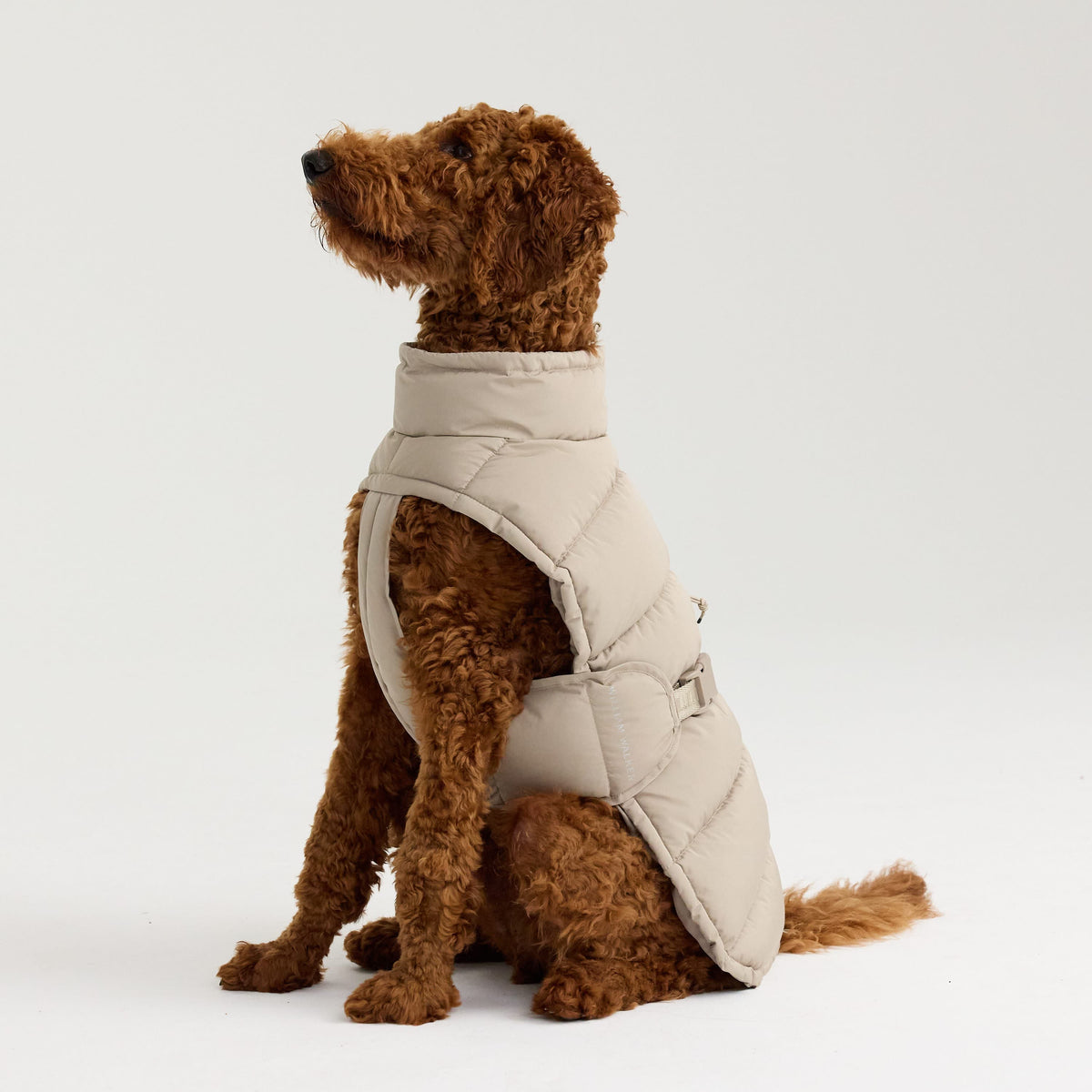 William Walker Warmer Winter Hundemantel Alpine