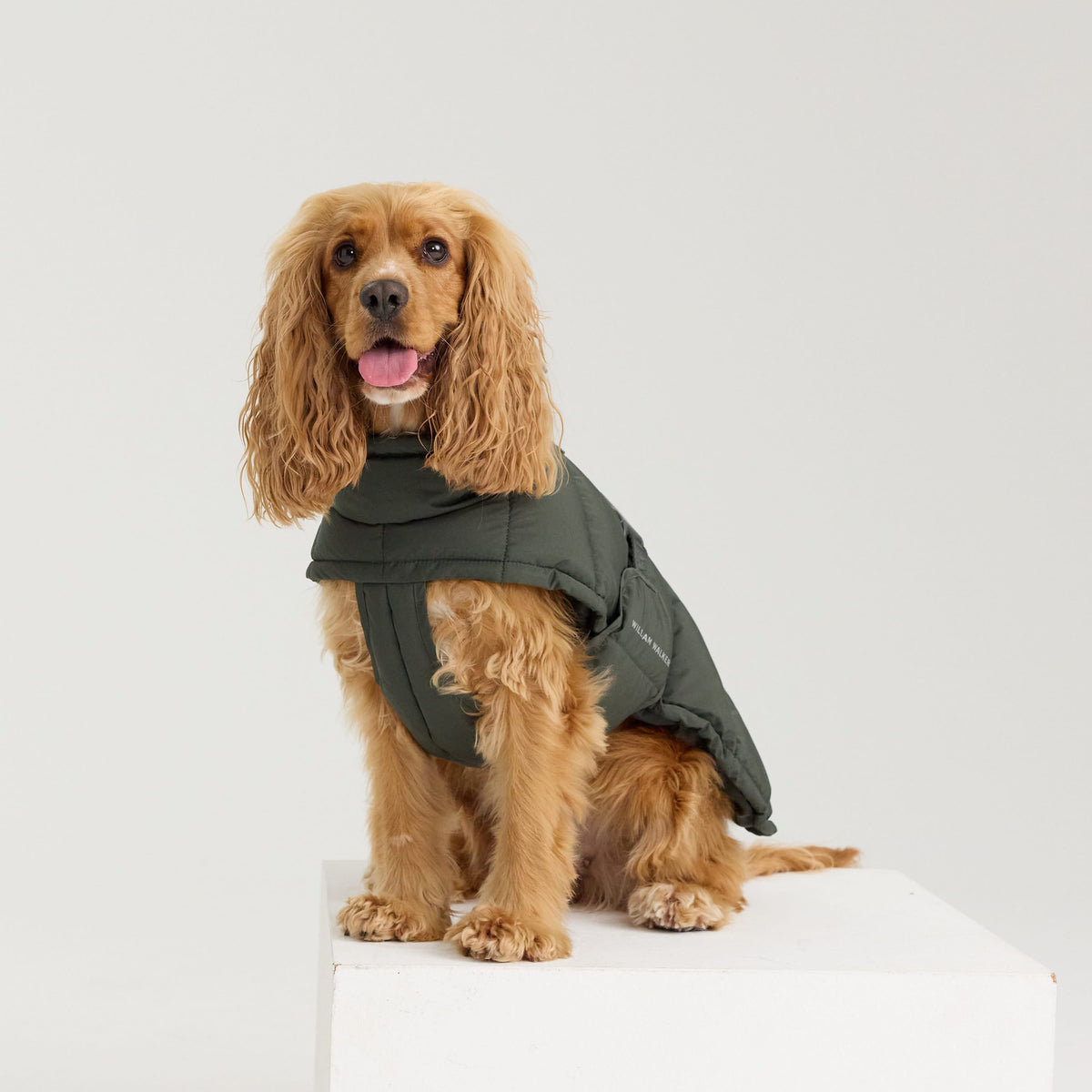 William Walker Warmer Winter Hundemantel Alpine