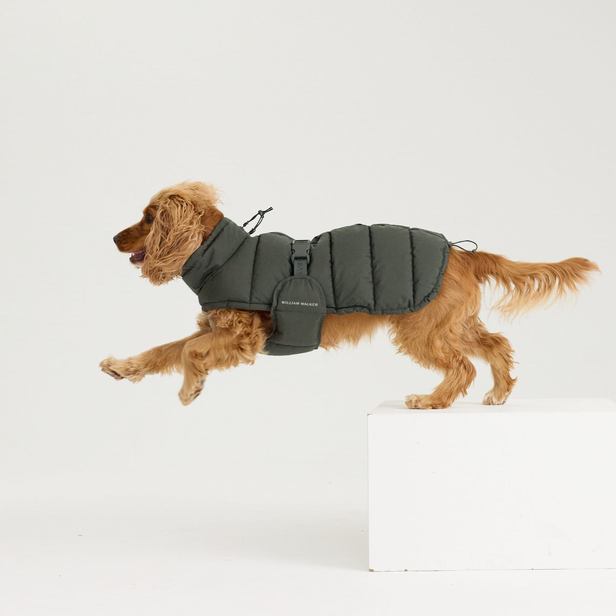 William Walker Warmer Winter Hundemantel Alpine