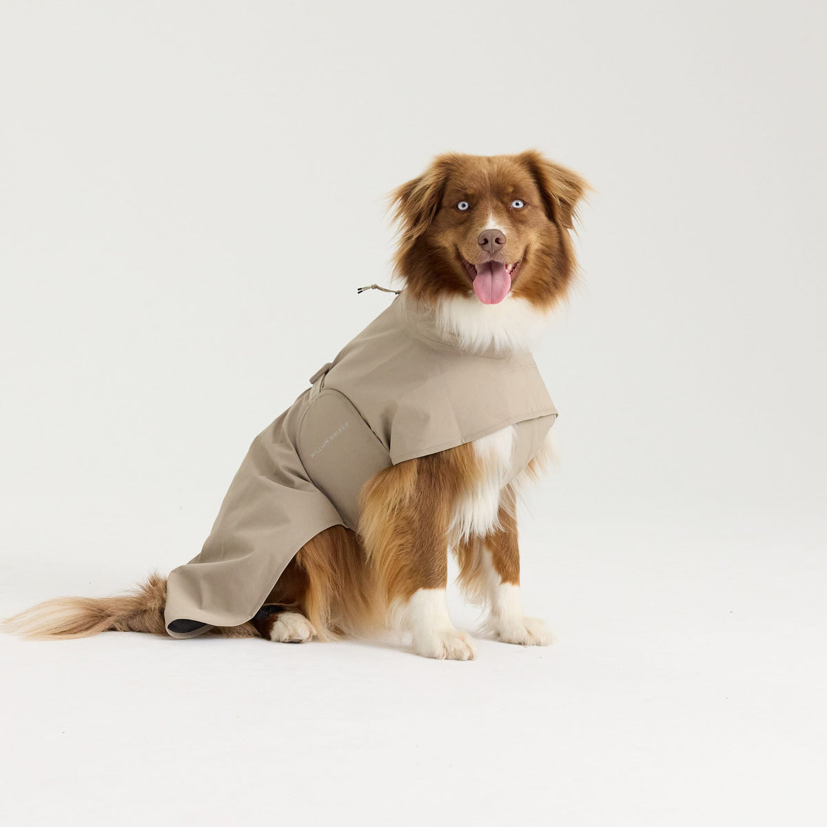 William Walker Impermeabile per cani Harbour