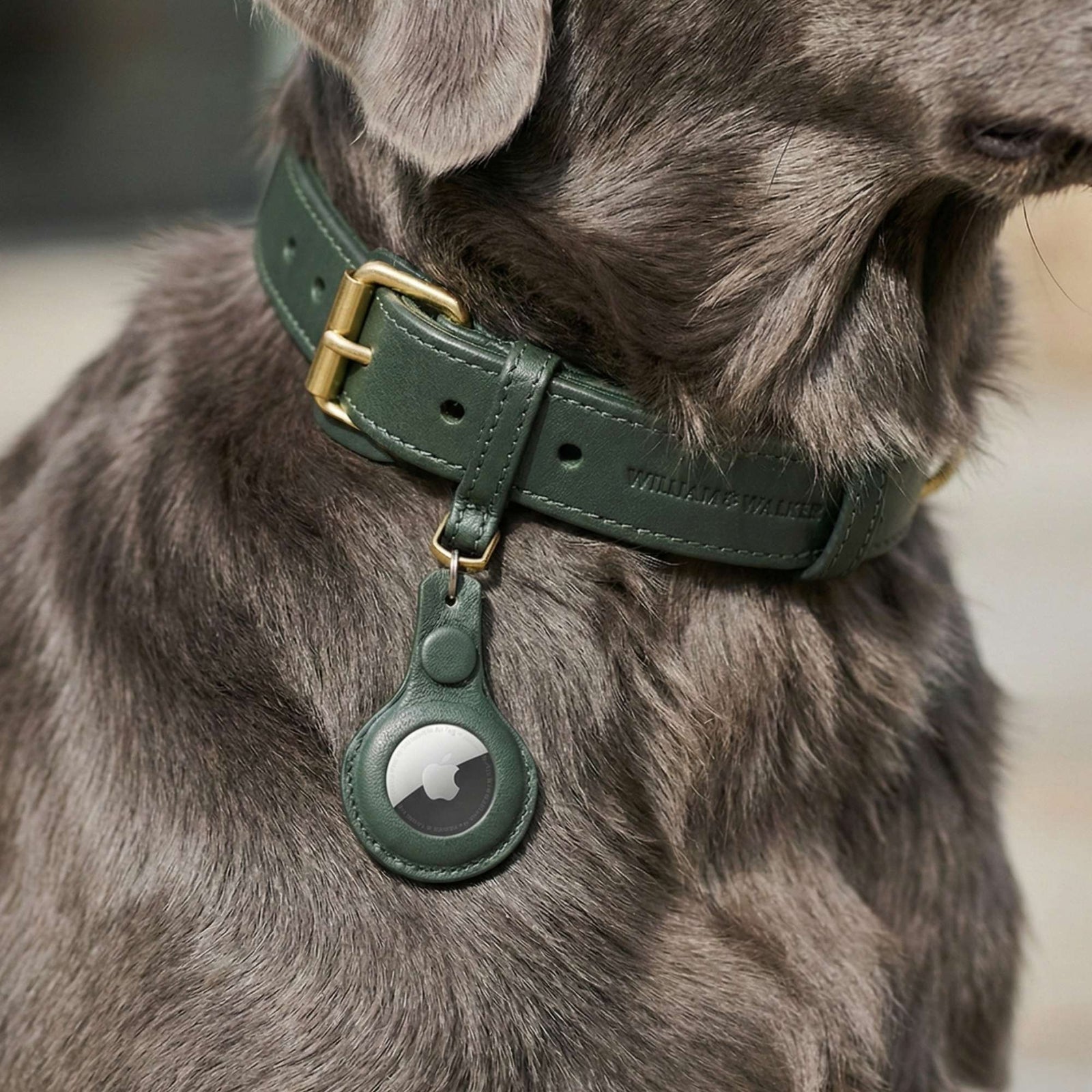 William Walker Leder AirTag Anhänger für Hundehalsband & Schlüssel