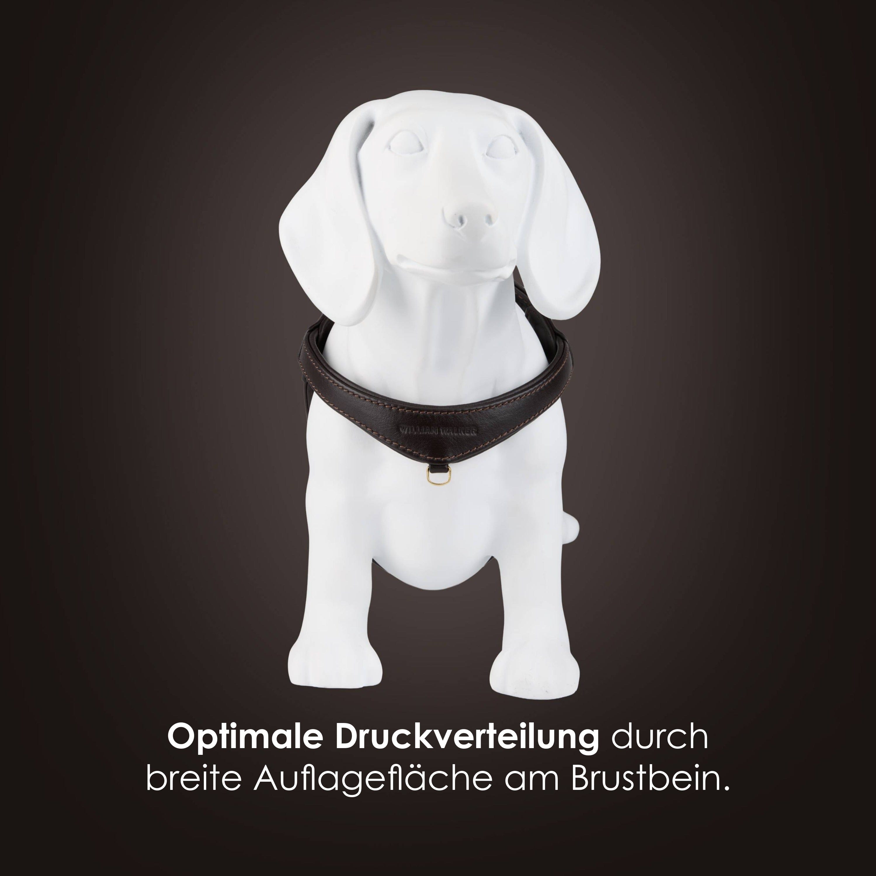 William Walker Step-In Leder Geschirr Pico für kleine Hunde