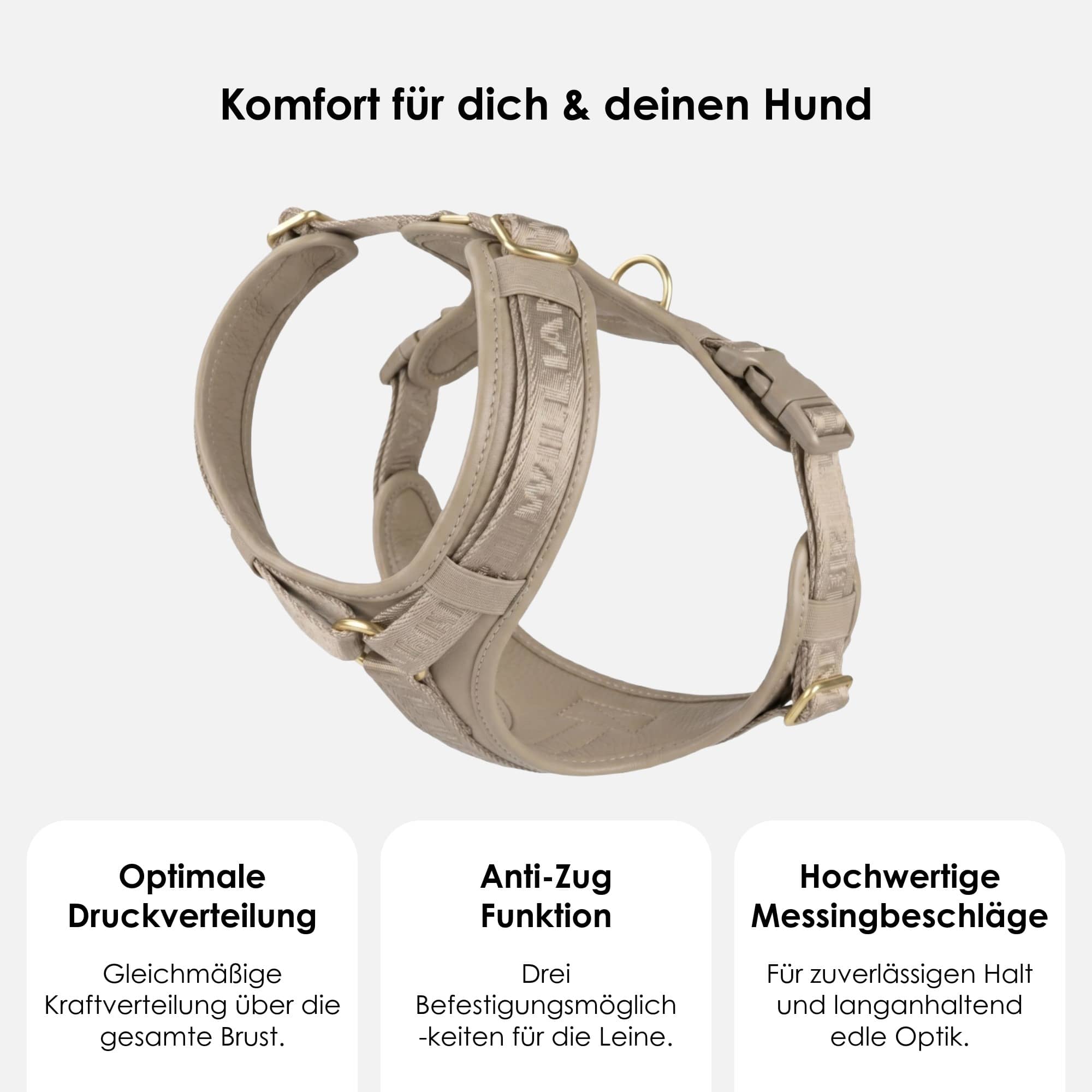 William Walker Leder Y-Hundegeschirr Plain