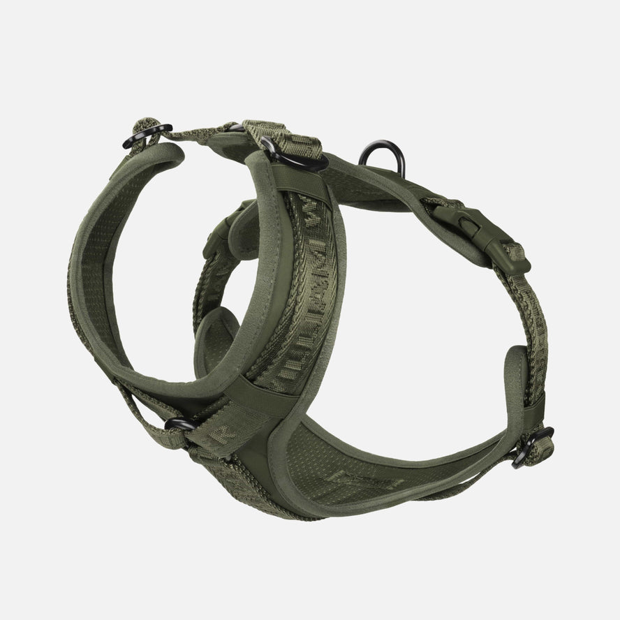 William Walker Hochwertiges Y-Hundegeschirr Forest (grün)