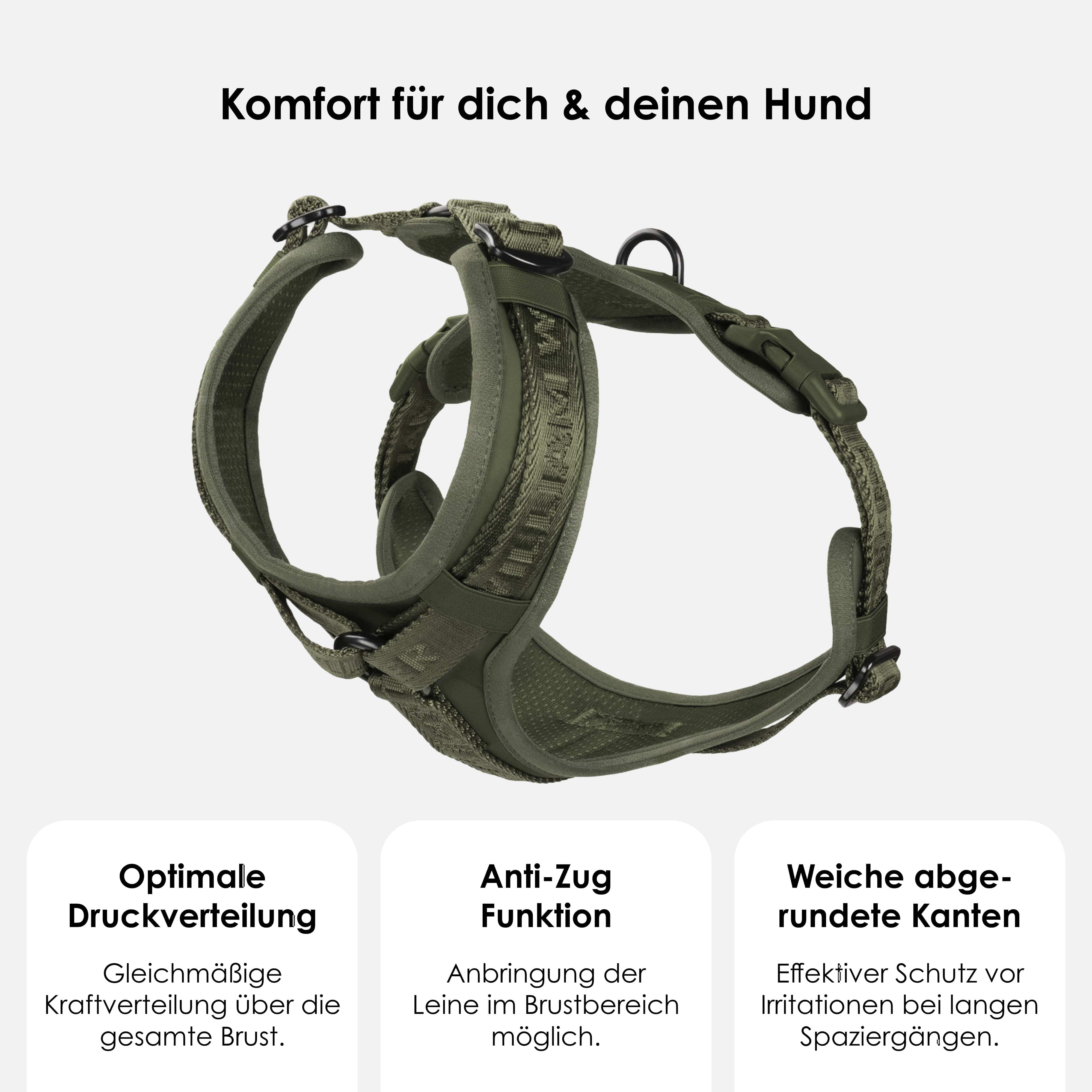 William Walker Hochwertiges Y-Hundegeschirr Forest (grün)