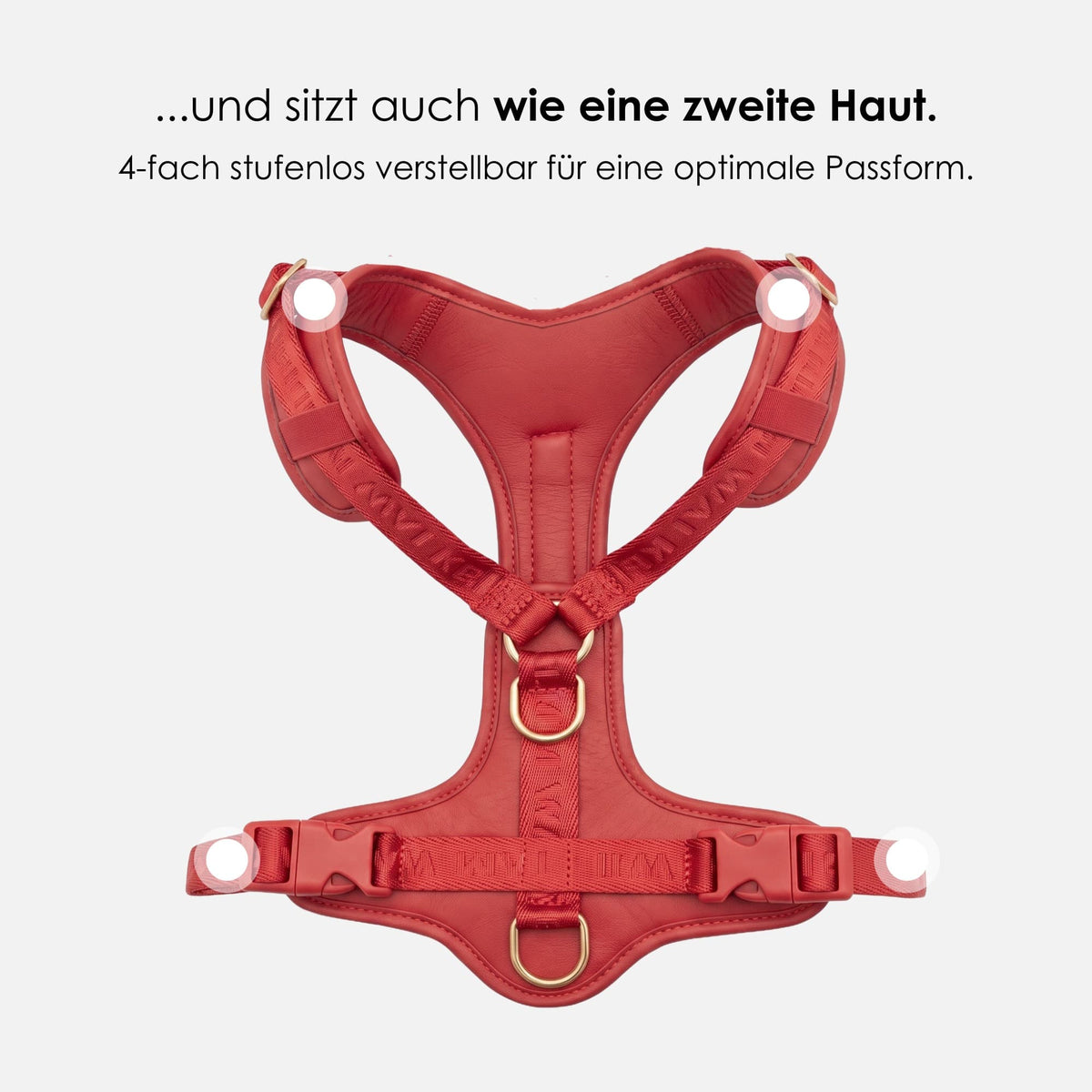 William Walker Hochwertiges Leder Y-Hundegeschirr Plain