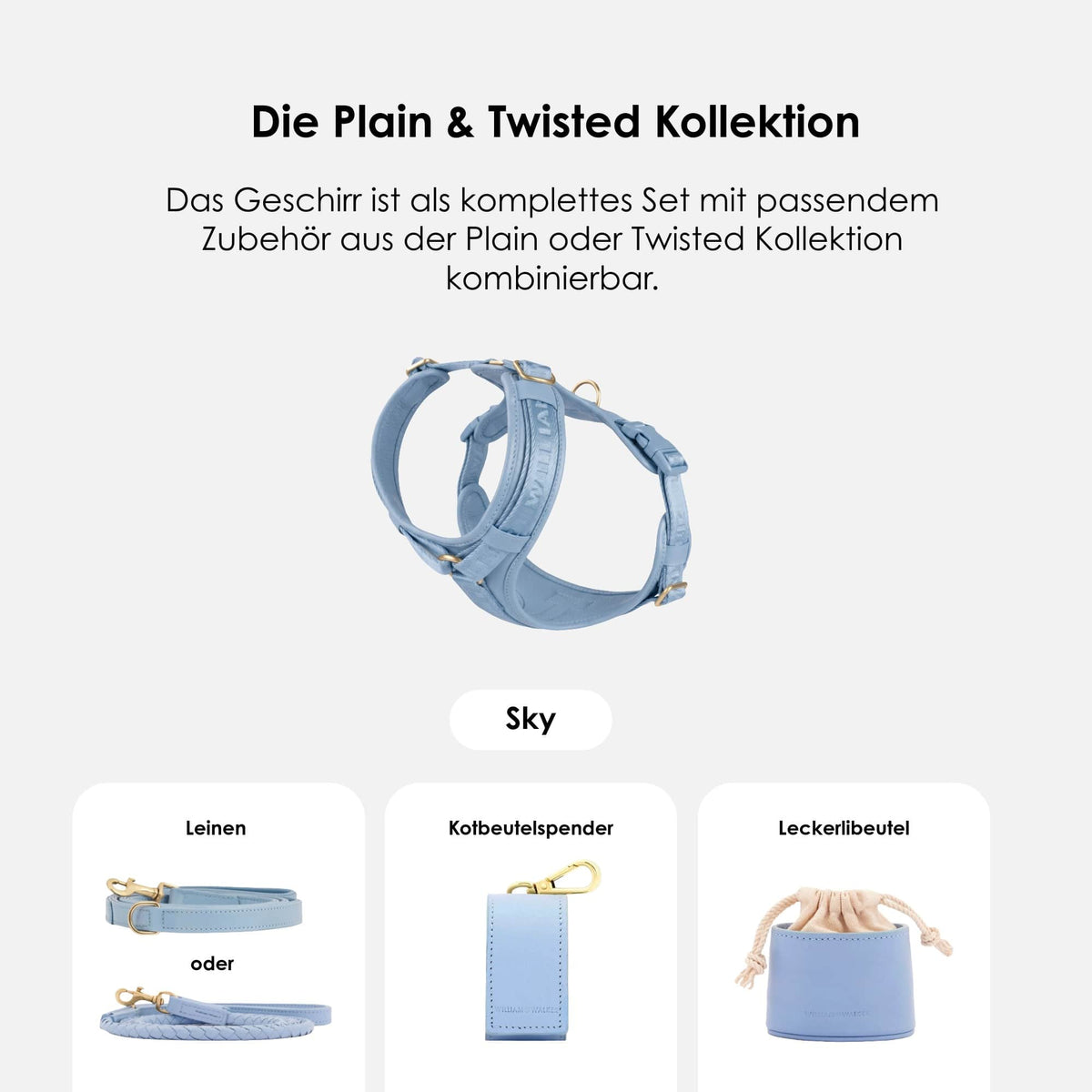 William Walker Hochwertiges Leder Y-Hundegeschirr Plain