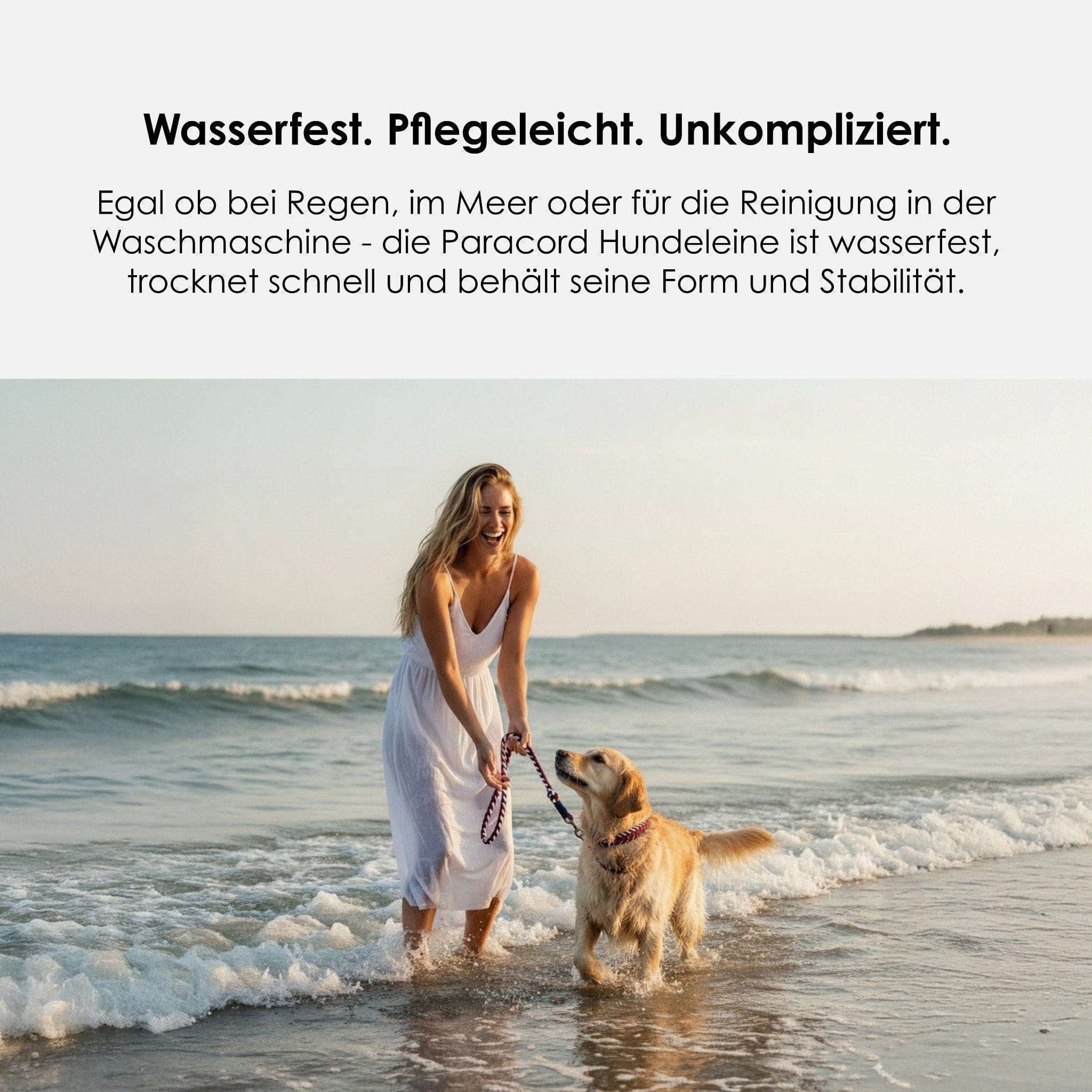 William Walker Paracord Hundeleine Hanseatic // Limited