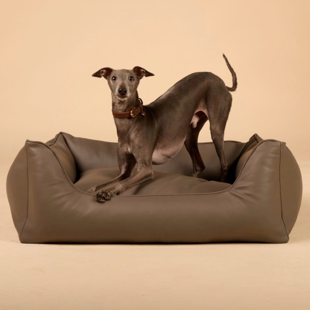 William Walker Orthopädisches Hundebett Easy Stone / S / Kissen (Flocken)
