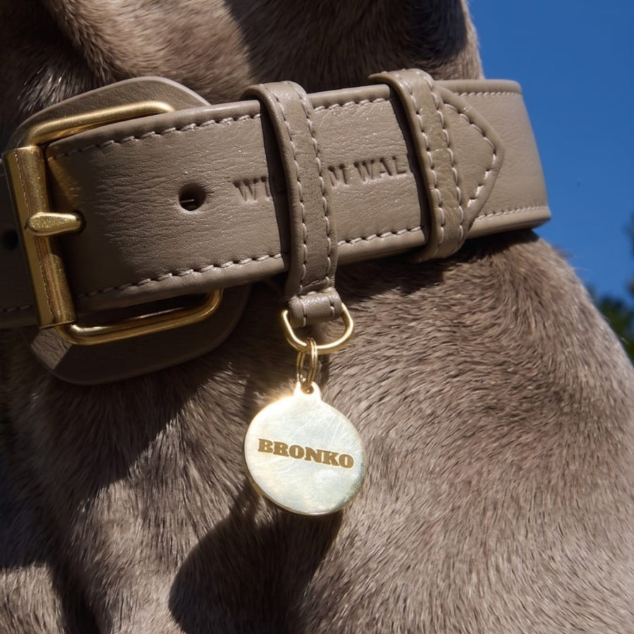 Targhetta per cane in ottone personalizzabile