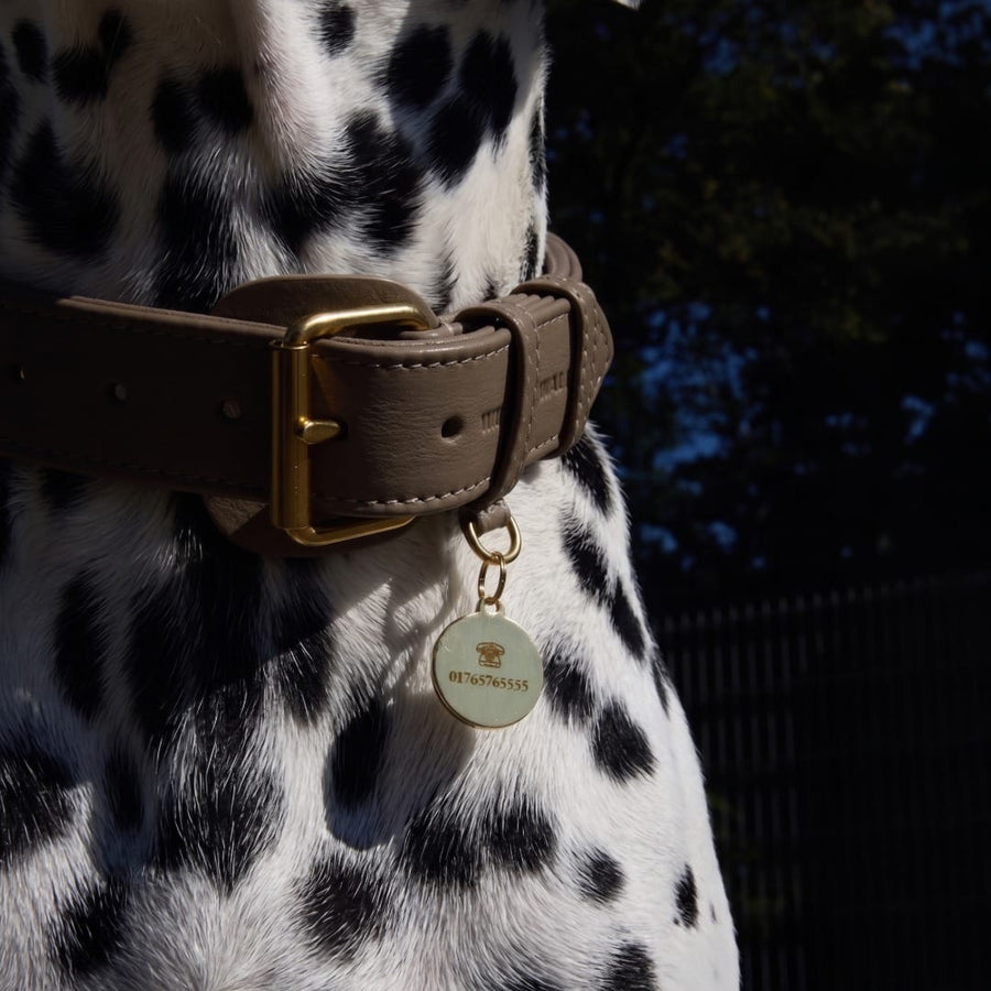 Targhetta per cane in ottone personalizzabile