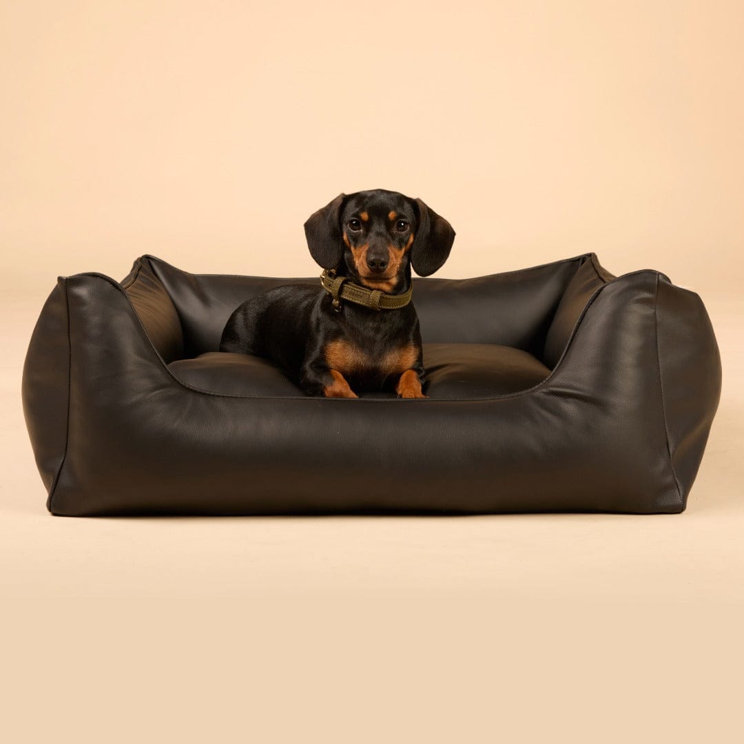 William Walker Orthopädisches Hundebett Easy Midnight / S / Kissen (Flocken)