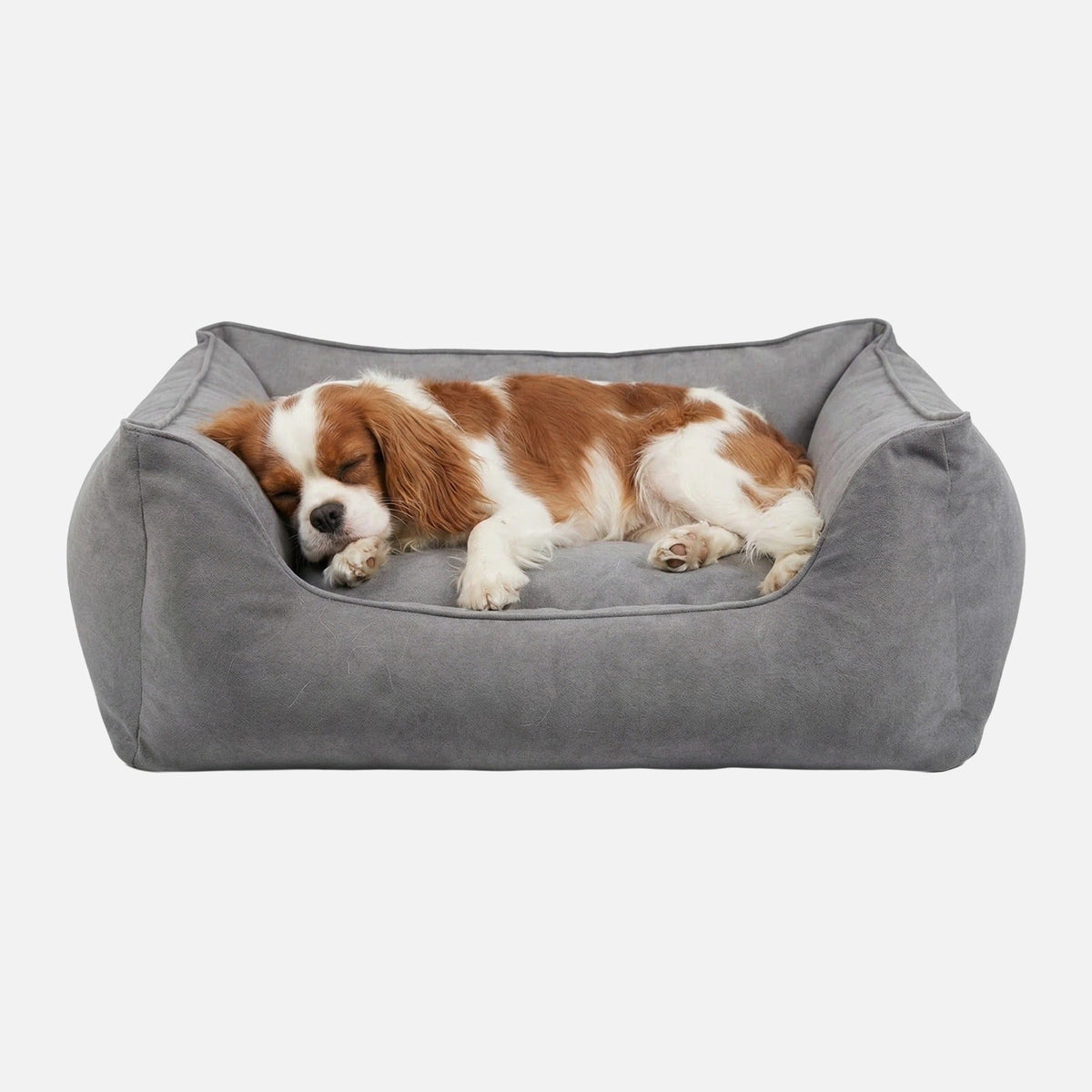 William Walker Orthopädisches Hundebett Plain Cloud / S / Kissen (Flocken)