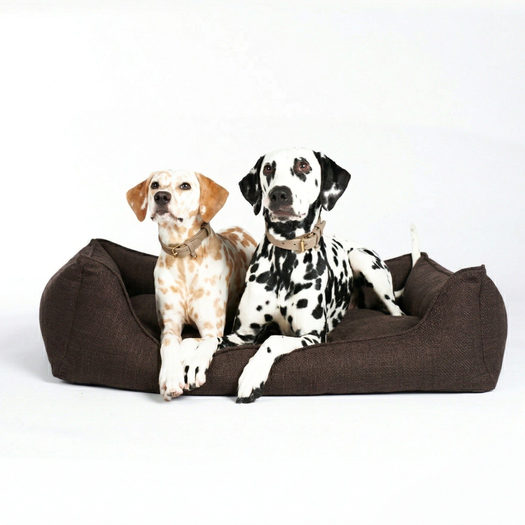 William Walker Orthopädisches Hundebett Luxe