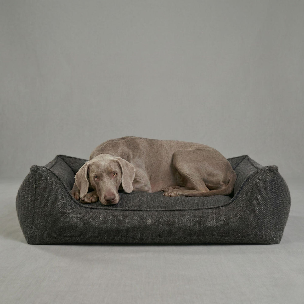 William Walker Orthopädisches Hundebett Luxe Midnight / S / Kissen (Flocken)
