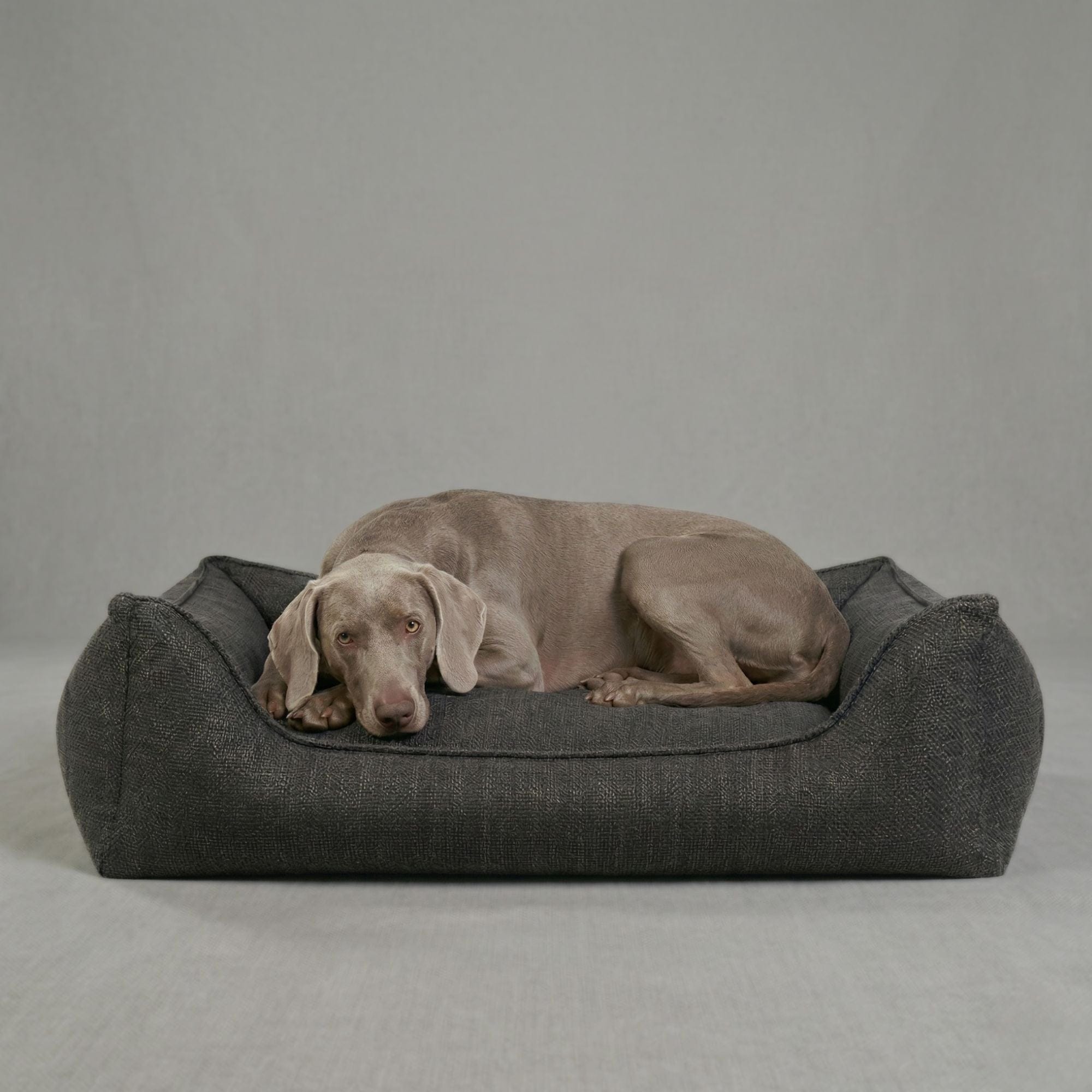 William Walker Orthopädisches Hundebett Luxe