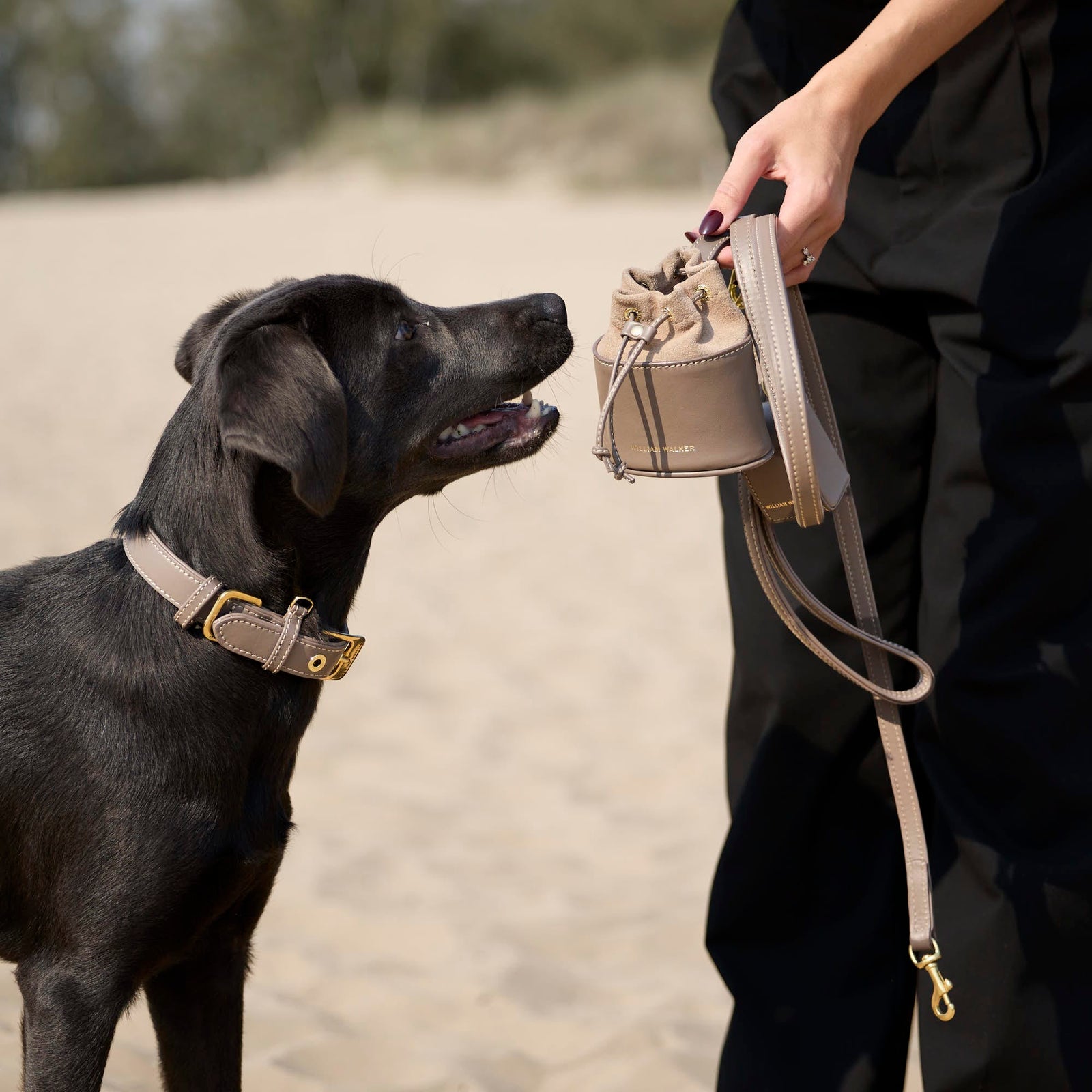 William Walker Glattleder Hundehalsband Pebble (Taupe)