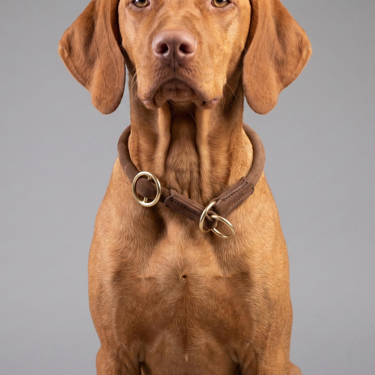 William Walker Ronde leren martingale halsband