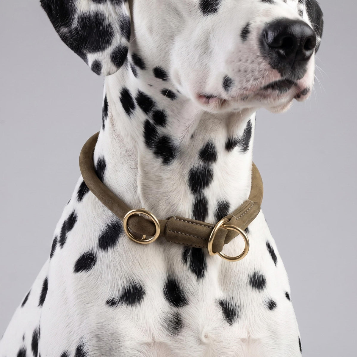 William Walker Ronde leren martingale halsband