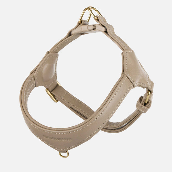 Step-In Leder Geschirr Pico für kleine Hunde