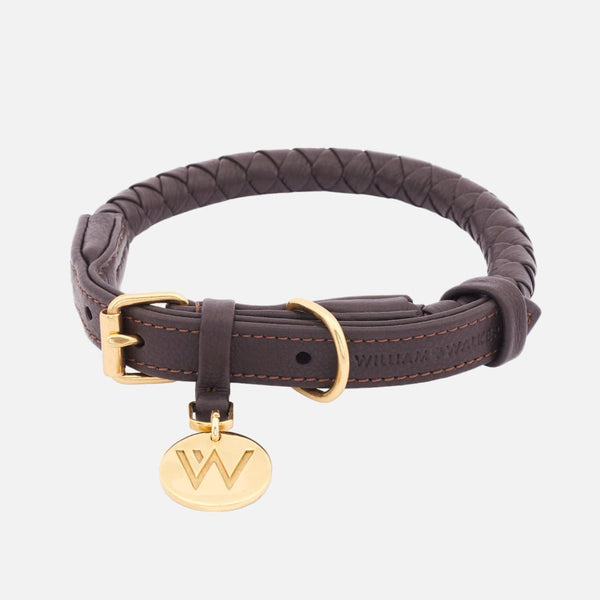Leder Hundehalsband Twisted Earth (Braun)