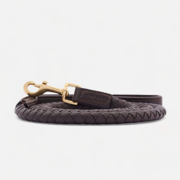 Hochwertige Leder Hundeleine Twisted Earth (Braun)