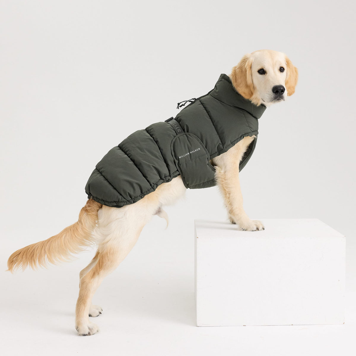 William Walker Warm winter dog coat Alpine Dark Moss / 1
